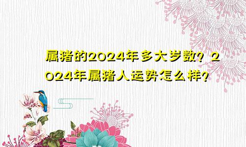 属猪的2024年多大岁数？2024年属猪人运势怎么样？