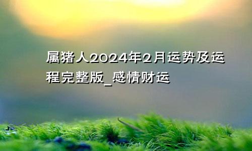属猪人2024年2月运势及运程完整版_感情财运