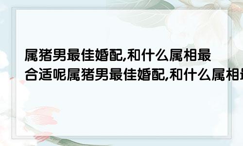 属猪男最佳婚配,和什么属相最合适呢属猪男最佳婚配,和什么属相最合适婚姻