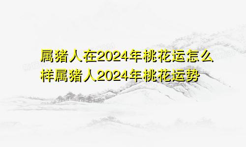 属猪人在2024年桃花运怎么样属猪人2024年桃花运势
