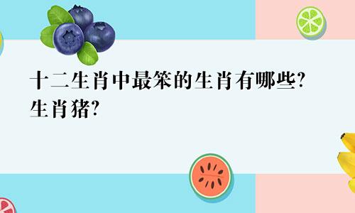 十二生肖中最笨的生肖有哪些？生肖猪？