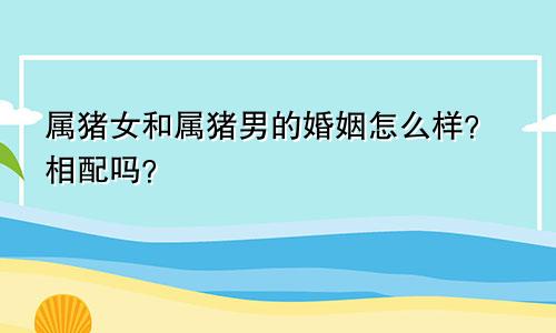 属猪女和属猪男的婚姻怎么样？相配吗？