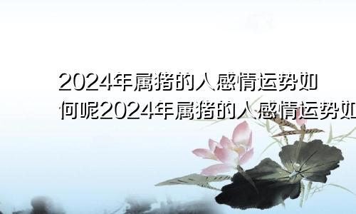 2024年属猪的人感情运势如何呢2024年属猪的人感情运势如何看