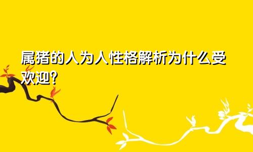 属猪的人为人性格解析为什么受欢迎？