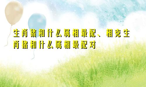 生肖猪和什么属相最配、相克生肖猪和什么属相最配对