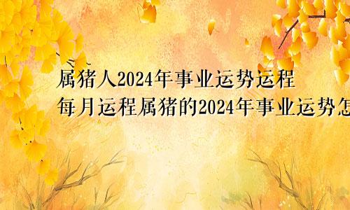 属猪人2024年事业运势运程每月运程属猪的2024年事业运势怎么样