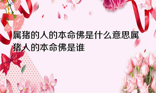 属猪的人的本命佛是什么意思属猪人的本命佛是谁