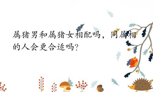 属猪男和属猪女相配吗，同属相的人会更合适吗？