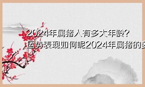 2024年属猪人有多大年龄?运势表现如何呢2024年属猪的多大年龄了