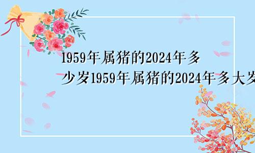 1959年属猪的2024年多少岁1959年属猪的2024年多大岁数