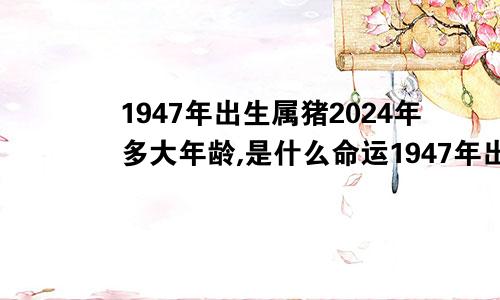 1947年出生属猪2024年多大年龄,是什么命运1947年出生属猪2024年多大年龄,是什么命人