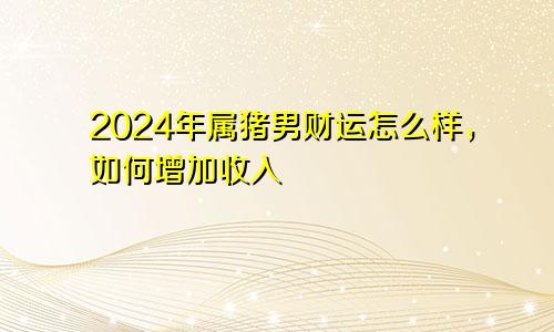 2024年属猪男财运怎么样，如何增加收入