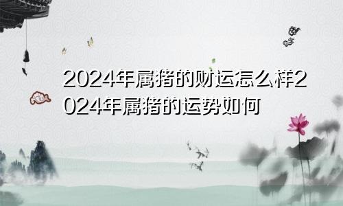 2024年属猪的财运怎么样2024年属猪的运势如何
