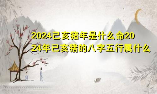 2024己亥猪年是什么命2024年已亥猪的八字五行属什么