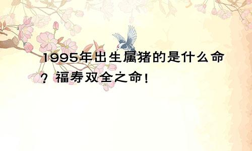 1995年出生属猪的是什么命？福寿双全之命！