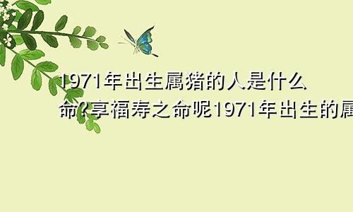 1971年出生属猪的人是什么命?享福寿之命呢1971年出生的属猪的是什么命