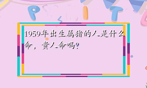 1959年出生属猪的人是什么命，贵人命吗？