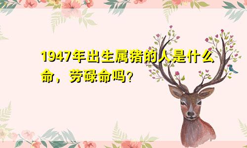 1947年出生属猪的人是什么命，劳碌命吗？