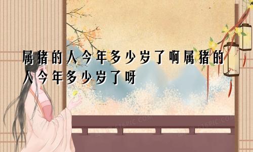 属猪的人今年多少岁了啊属猪的人今年多少岁了呀