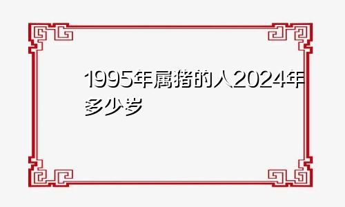 1995年属猪的人2024年多少岁