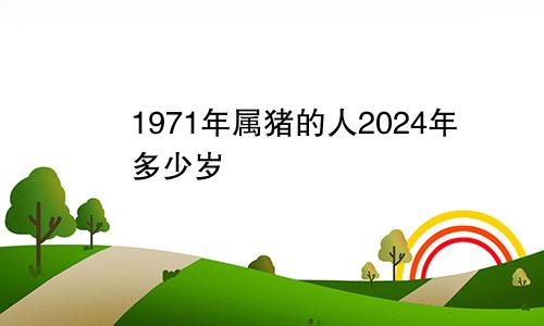 1971年属猪的人2024年多少岁