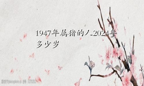 1947年属猪的人2024年多少岁