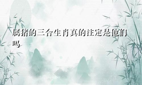 属猪的三合生肖真的注定是他们吗