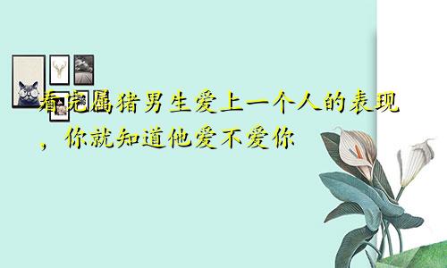 看完属猪男生爱上一个人的表现，你就知道他爱不爱你