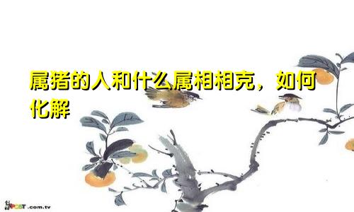 属猪的人和什么属相相克，如何化解