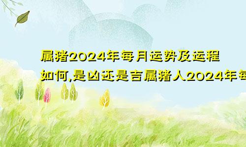 属猪2024年每月运势及运程如何,是凶还是吉属猪人2024年每月运势完整版