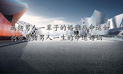 属猪男人一辈子的婚姻与命运如何呢属猪男人一生的命运婚姻