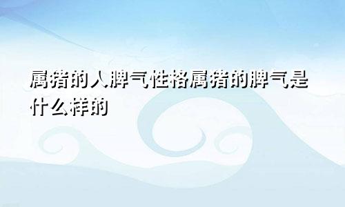 属猪的人脾气性格属猪的脾气是什么样的