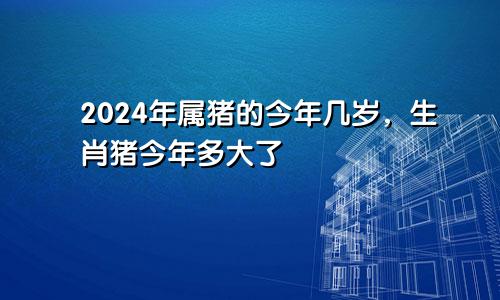 2024年属猪的今年几岁，生肖猪今年多大了
