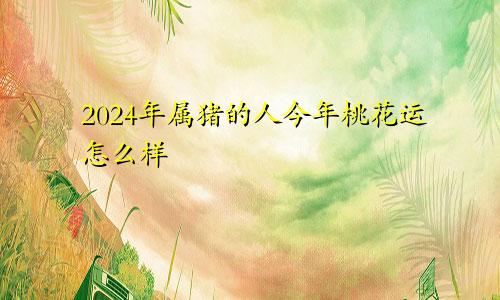 2024年属猪的人今年桃花运怎么样