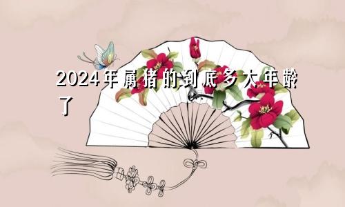 2024年属猪的到底多大年龄了