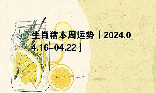 生肖猪本周运势【2024.04.16-04.22】