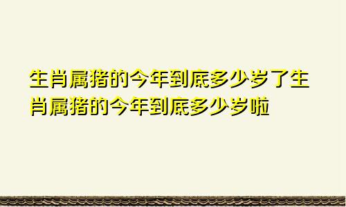 生肖属猪的今年到底多少岁了生肖属猪的今年到底多少岁啦