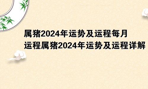 属猪2024年运势及运程每月运程属猪2024年运势及运程详解