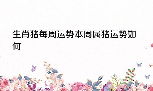 生肖猪每周运势本周属猪运势如何