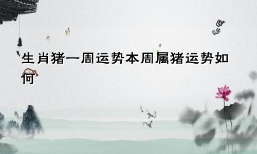 生肖猪一周运势本周属猪运势如何