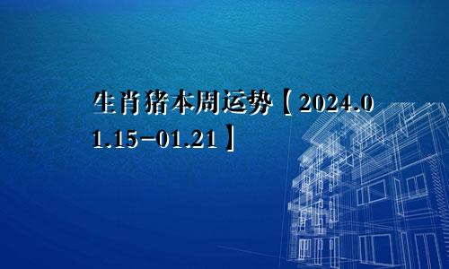 生肖猪本周运势【2024.01.15-01.21】