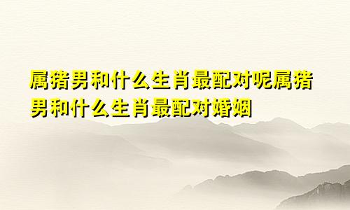 属猪男和什么生肖最配对呢属猪男和什么生肖最配对婚姻