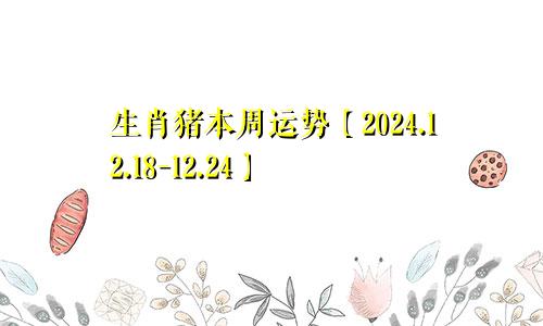 生肖猪本周运势【2024.12.18-12.24】