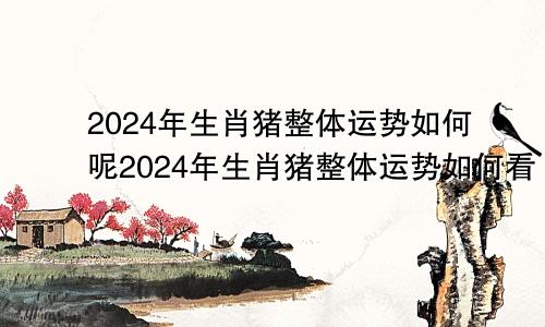 2024年生肖猪整体运势如何呢2024年生肖猪整体运势如何看
