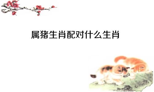 属猪生肖配对什么生肖