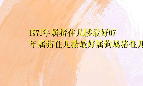 1971年属猪住几楼最好07年属猪住几楼最好属狗属猪住几楼最好