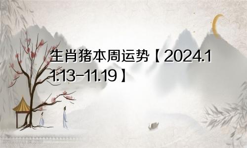 生肖猪本周运势【2024.11.13-11.19】