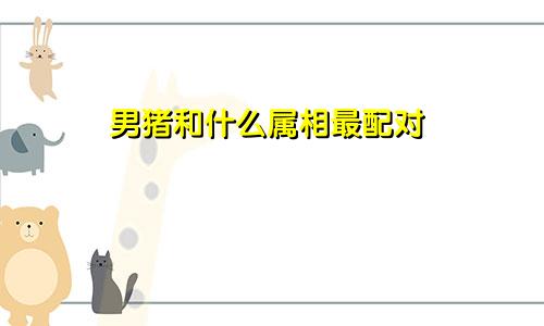 男猪和什么属相最配对