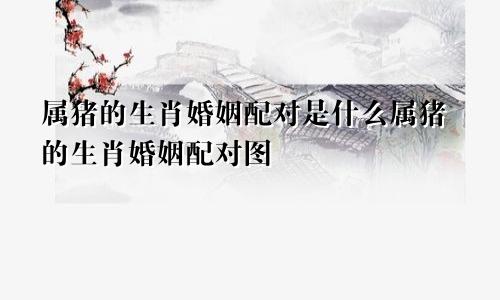 属猪的生肖婚姻配对是什么属猪的生肖婚姻配对图