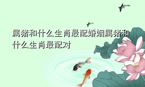 属猪和什么生肖最配婚姻属猪和什么生肖最配对